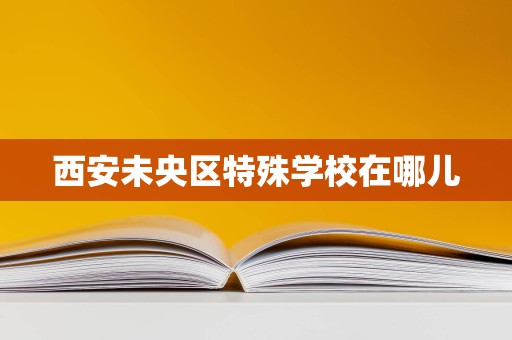 西安未央?yún)^(qū)特殊教育資源分布與教育項目投資方向探析